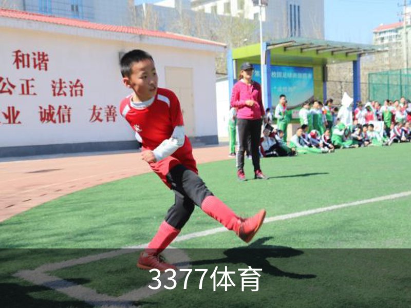 3377体育品牌故事